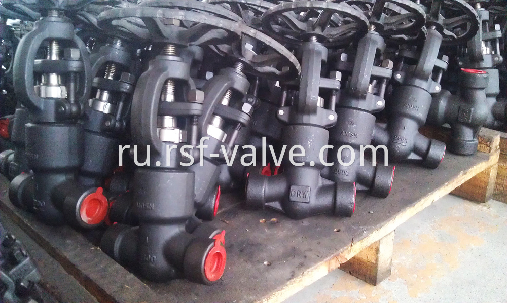 Pressure Seal Bonnet Api602 Valve 2